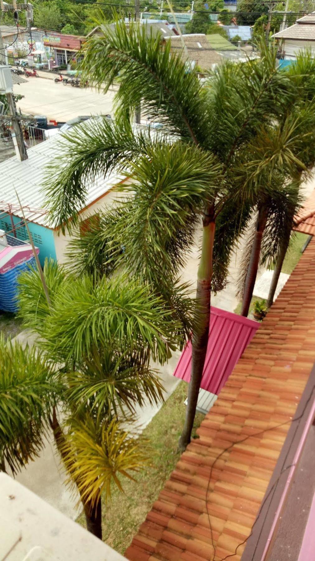 Hotel Lanta Sweet Mansion Ko Lanta Exteriér fotografie